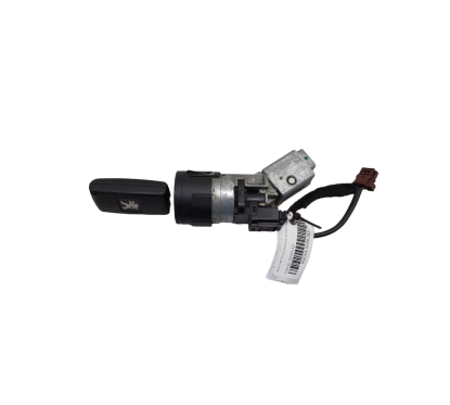 Blocchetto Accensione PEUGEOT 3008 Serie dal 09 al 16 - 4162XT - 1944029