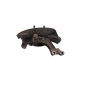 Montante sospensione ANT. SX HYUNDAI iX35 1° Serie
