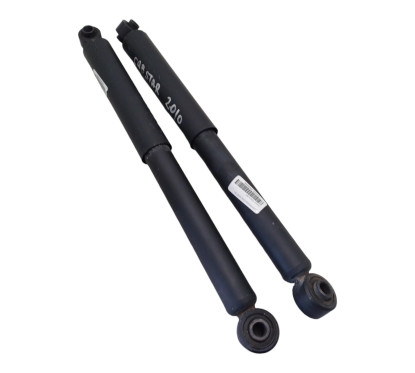 Coppia Ammortizzatori NISSAN Cabstar F24M dal 06 al 13 - 1960207 - 1960207