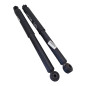 Coppia Ammortizzatori NISSAN Cabstar F24M dal 06 al 13