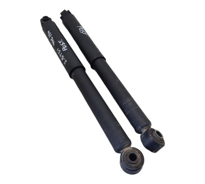 Coppia Ammortizzatori NISSAN Cabstar F24M dal 06 al 13