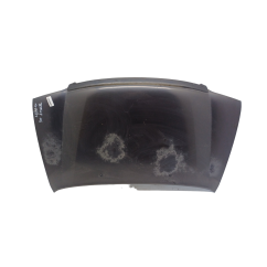 Cofano Anteriore DAIHATSU Terios 1° Serie - 5330187402000 - 1967902