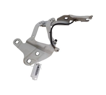 Cerniera cofano anteriore SX BMW X1 Serie E84 dal 09 al 15 - 41002993149 - 1993496