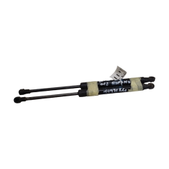 Pistoncini cofano ant BMW X1 Serie E84 dal 09 al 15 - 41612990344 - 1993531