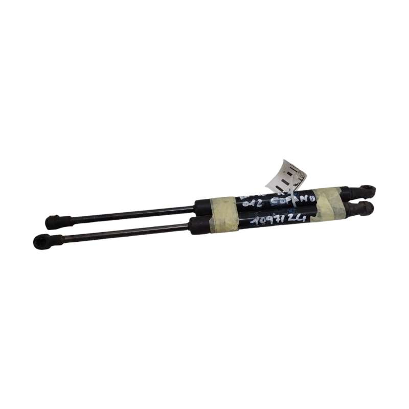 Pistoncini cofano ant BMW X1 Serie E84 dal 09 al 15