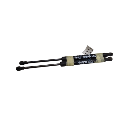 Pistoncini cofano ant BMW X1 Serie E84 dal 09 al 15 - 41612990344 - 1993531