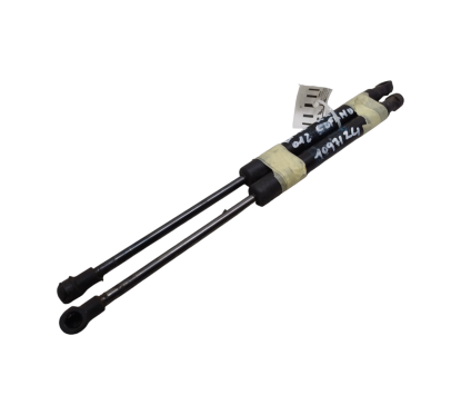 Pistoncini cofano ant BMW X1 Serie E84 dal 09 al 15