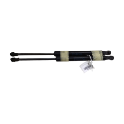 Pistoncini cofano ant BMW X1 Serie E84 dal 09 al 15 - 41612990344 - 1993531