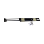 Pistoncini cofano ant BMW X1 Serie E84 dal 09 al 15