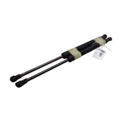 Pistoncini cofano ant BMW X1 Serie E84 dal 09 al 15 - 41612990344 - 1993531