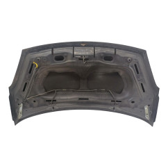 Cofano Anteriore CITROEN Berlingo 3° Serie - 7901P7 - 2005748