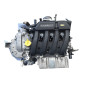 Motore Completo RENAULT Megane Scenic dal 97 al 01