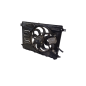 Elettroventola FORD Galaxy Serie CA1 dal 06 al 15