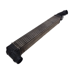 Intercooler RENAULT Scenic Serie dal 09 al 16 - 2214393 - 2214393