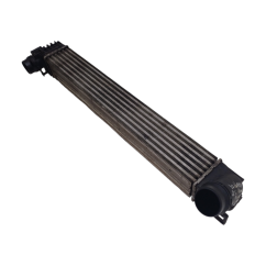 Intercooler RENAULT Scenic Serie dal 09 al 16 - 2214393 - 2214393