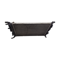Radiatore acqua RENAULT Scenic Serie dal 09 al 16 - 214100002R - 2228185