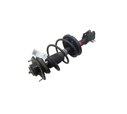 Ammortizzatore Anteriore Sinistro FIAT Seicento Serie dal 00 al 05