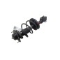 Ammortizzatore Anteriore Sinistro FIAT Seicento Serie dal 00 al 05