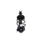 Ammortizzatore Anteriore Sinistro FIAT Seicento Serie dal 00 al 05