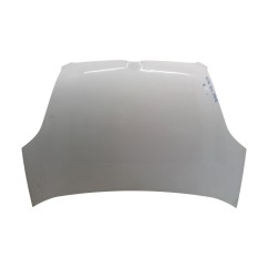Cofano Anteriore FIAT Doblo Serie dal 09 al 15 - 51810378 - 3526250
