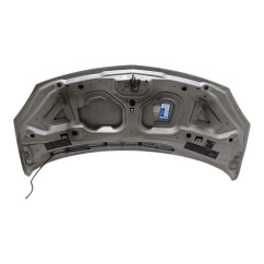 Cofano Anteriore RENAULT Twingo II serie dal 07 al 14 - 7751477649 - 2373166
