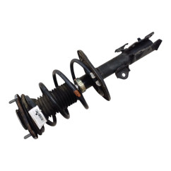 Ammortizzatore Anteriore Sinistro TOYOTA Verso 1° Serie - 4852009U20 - 2452017