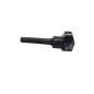 Bobine accensione HYUNDAI i10 Serie AC3, AI3 dal 19