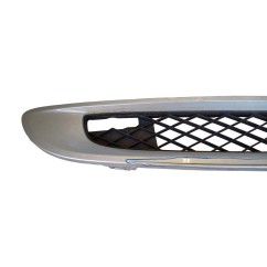 Griglia Paraurti SMART Fortwo Coupé W451 - A4518880123C22A - 3508838