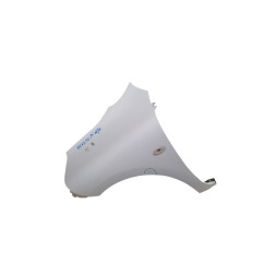 Parafango Anteriore Sinistro NISSAN Micra 7° Serie - F31013HNAA - 2999352