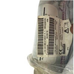 Airbag a tendina laterale passeggero PEUGEOT 208 Serie dal 12 al 19 - 9804092280 - 3581908