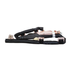 Airbag a tendina laterale passeggero FIAT Panda 3° Serie - 52091794 - 3020052
