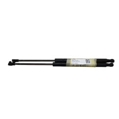 Pistoncini cofano Post. FIAT Panda 3° Serie