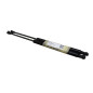 Pistoncini cofano Post. FIAT Panda 3° Serie