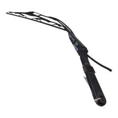 Braccio Tergicristallo Anteriore IVECO Daily 35C15 Serie dal 12 - 2894105 - 2894105