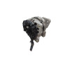 Alternatore SKODA Fabia S. Wagon 2° Serie