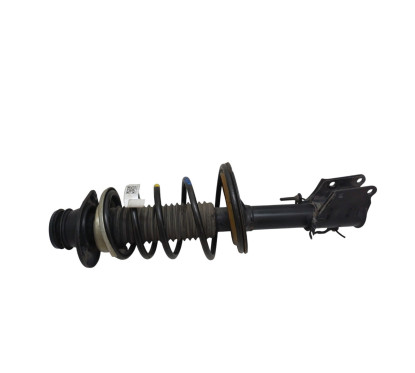 Ammortizzatore Anteriore destro FIAT Doblo Cargo dal 05 al 09 - 51766603 - 2925097