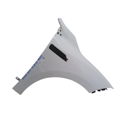 Parafango Anteriore Destro RENAULT Megane Coupé dal 10 - 631007490R - 2879333