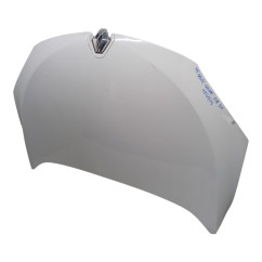 Cofano Anteriore RENAULT Megane Coupé dal 10 - 651009018R - 2879357