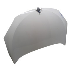 Cofano Anteriore RENAULT Megane Coupé dal 10 - 651009018R - 2879357