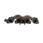 Collettore Di Scarico RENAULT Scenic Serie dal 09 al 16