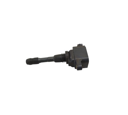 Bobine accensione RENAULT Scenic Serie dal 09 al 16