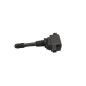 Bobine accensione RENAULT Scenic Serie dal 09 al 16
