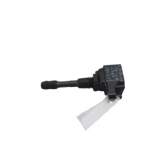 Bobine accensione RENAULT Scenic Serie dal 09 al 16 - 224337085R - 3593251