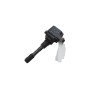 Bobine accensione RENAULT Scenic Serie dal 09 al 16