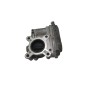 Corpo Farfallato RENAULT Scenic Serie dal 09 al 16
