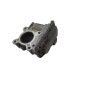 Corpo Farfallato RENAULT Scenic Serie dal 09 al 16