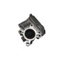 Corpo Farfallato RENAULT Scenic Serie dal 09 al 16