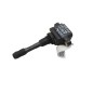 Bobine accensione RENAULT Scenic Serie dal 09 al 16