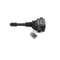 Bobine accensione RENAULT Scenic Serie dal 09 al 16