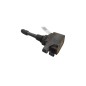 Bobine accensione RENAULT Scenic Serie dal 09 al 16